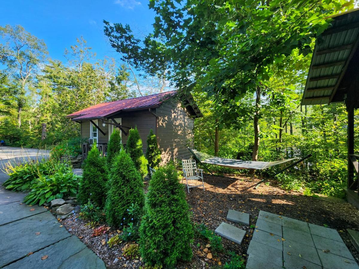 Belleayre Lodge Pine Hill Екстер'єр фото