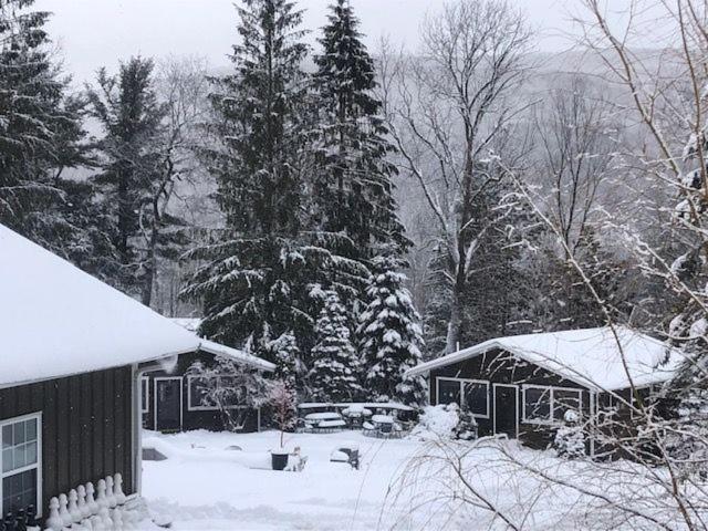 Belleayre Lodge Pine Hill Екстер'єр фото